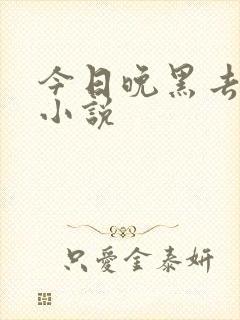 今日晚黑去见你小说