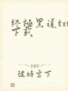 终极黑道txt下载