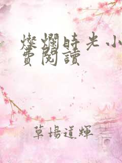 灿烂时光小说免费阅读