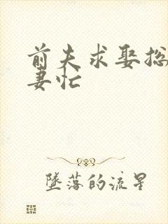 前夫求娶总裁追妻忙