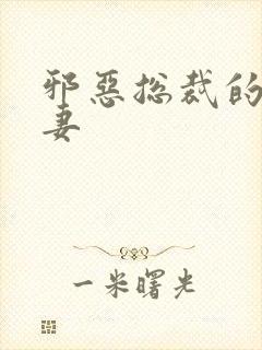 邪恶总裁的替身妻