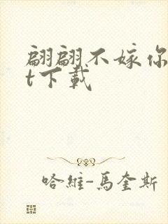 翩翩不嫁你txt下载