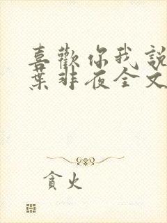 喜欢你我说了算叶非夜全文免费阅读