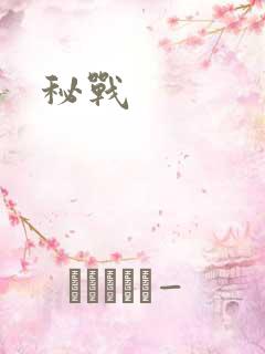 秘战