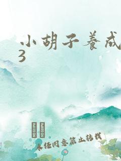 小胡子养成计划3