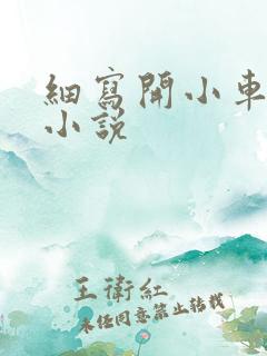 细写开小车车的小说