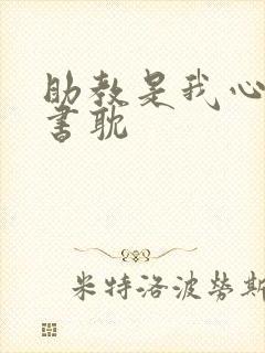 助教是我心尖宠书耽