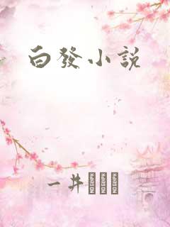 白发小说