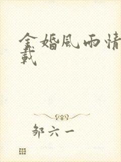 金婚风雨情 下载