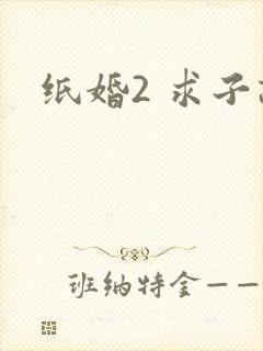 纸婚2 求子记
