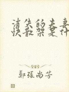 消失的夫妻女主快散架是什么意思