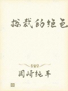 总裁的绝色娇妻