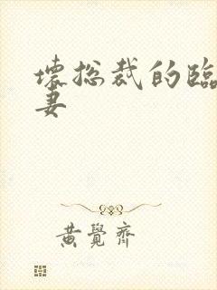 坏总裁的临时娇妻