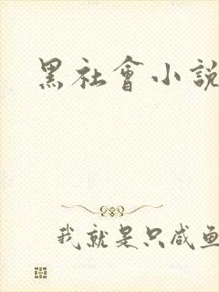 黑社会小说下载