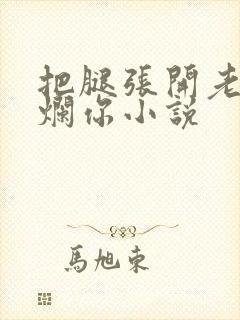 把腿张开老子臊烂你小说