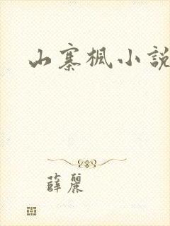 山寨枫小说网