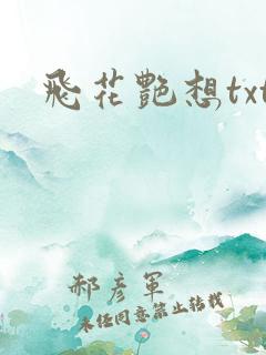 飞花艳想txt