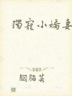 独宠小娇妻