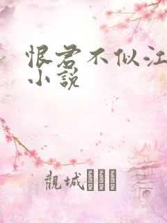 恨君不似江楼月小说