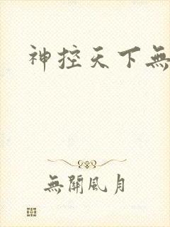 神控天下无弹窗