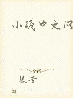 小贱中文网