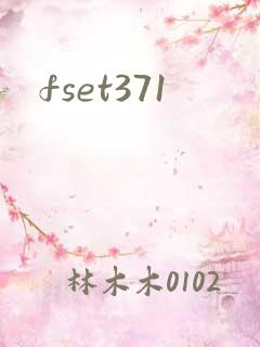 fset371
