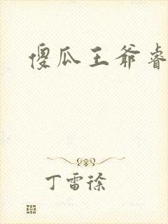 傻瓜王爷睿智妃