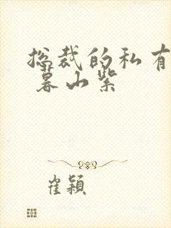 总裁的私有宝贝 暮山紫