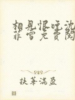 相见恨晚沈浩秦菲雪免费阅读