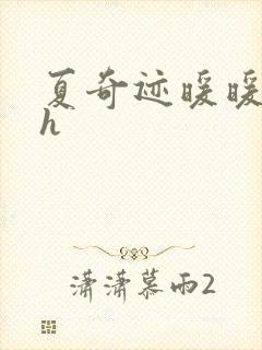 夏奇迹暖暖快穿h