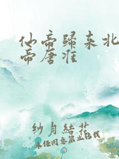 仙帝归来北斗仙帝唐准