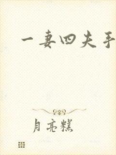 一妻四夫手记