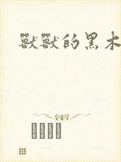 兽兽的黑木耳