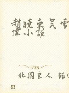 赵晓东吴雪晴郑伟小说