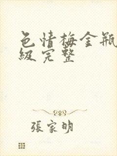 色情梅金瓶2三级完整