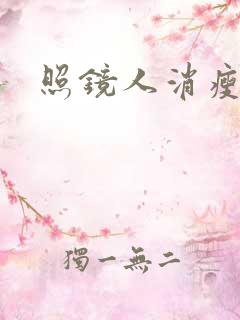 照镜人消瘦小说