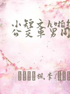 小短文h啪纯肉公交车男同