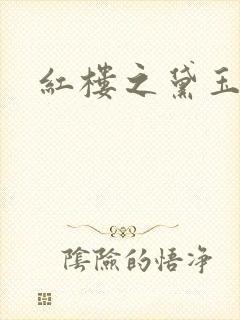 红楼之黛玉之弟