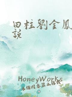 田柱刘金凤的小说