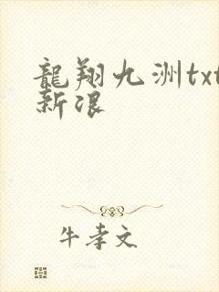 龙翔九洲txt新浪