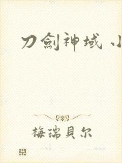 刀剑神域 小说