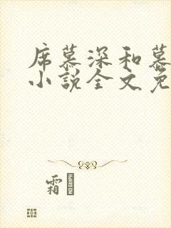 席慕深和慕清泠小说全文免费阅读