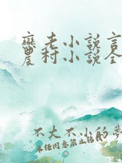 恋老小说言情网农村小说全文阅读