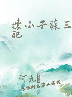 坏小子苏三风流记