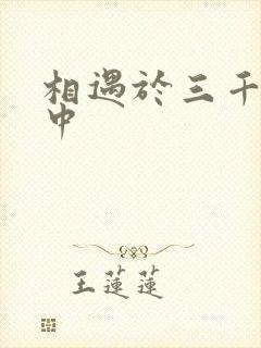 相遇于三千肉文中