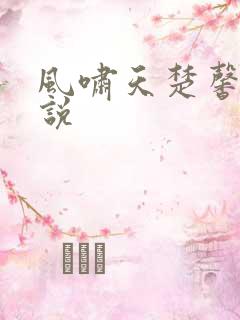 风啸天楚馨月小说