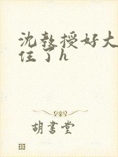沈教授好大含不住了h