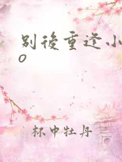 别后重逢小说po