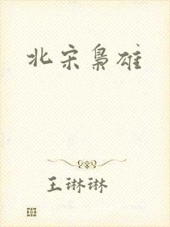 北宋枭雄