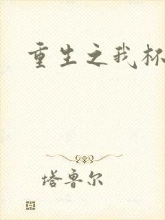 重生之我杯具了